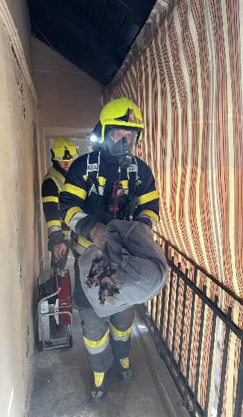 Brennende Matratze verursacht Rauchentwicklung (Bild 2)